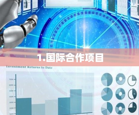 1.国际合作项目 1.国际合作项目