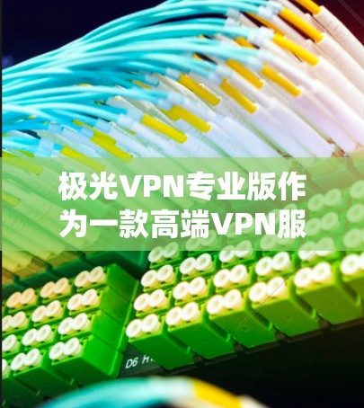 极光VPN专业版作为一款高端VPN服务，具备多项功能和优势，适合多设备用户和重视隐私保护的用户。以下是对其的详细分析和总结