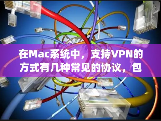在Mac系统中,支持VPN的方式有几种常见的协议,包括OpenVPN、IPsec、PPTP和L2TP。以下是关于如何在Mac上配置这些VPN协议的详细指南