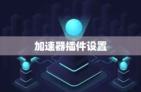 加速器插件设置