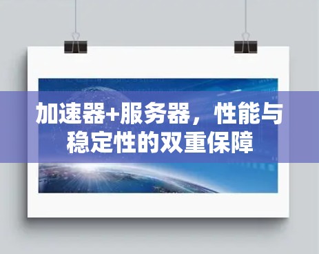 加速器+服务器,性能与稳定性的双重保障