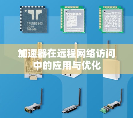 加速器在远程网络访问中的应用与优化