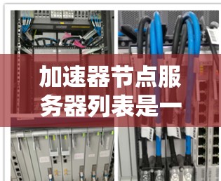 加速器节点服务器列表是一种用于管理和监控加速器节点的工具,帮助管理员有效维护网络性能。以下是对该列表的详细分析