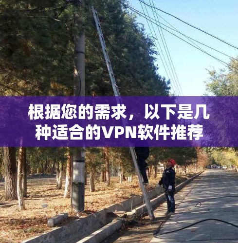 根据您的需求,以下是几种适合的VPN软件推荐