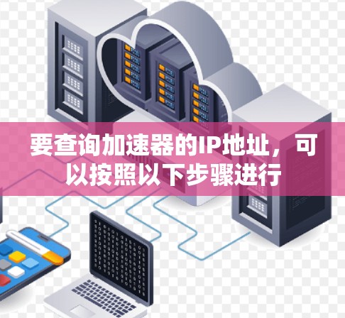 要查询加速器的IP地址,可以按照以下步骤进行