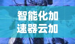 智能化加速器云加速服务,性能与效率的双重提升