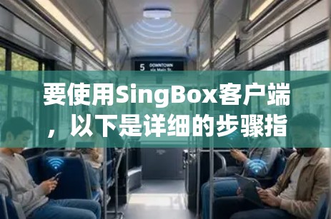 要使用SingBox客户端，以下是详细的步骤指引