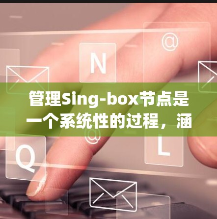 管理Sing-box节点是一个系统性的过程，涵盖从安装到故障排除的多个环节。以下是逐步的指南，帮助您熟练掌握Sing-box节点的管理