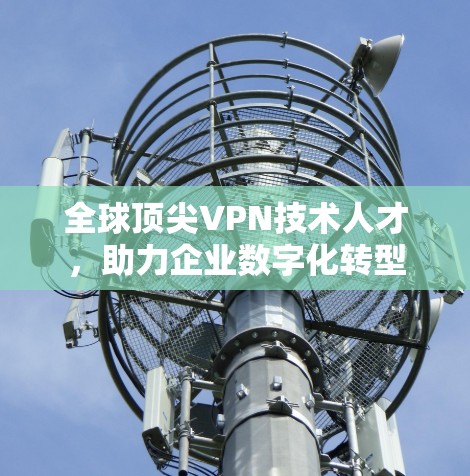全球顶尖VPN技术人才，助力企业数字化转型