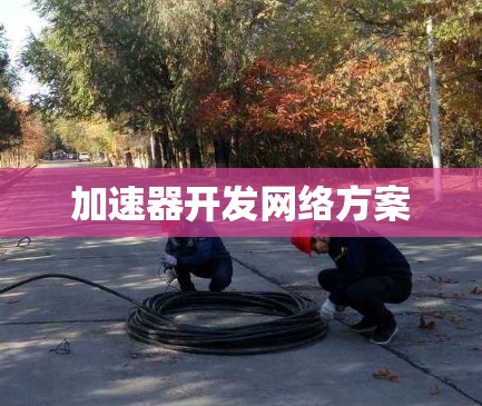 加速器开发网络方案