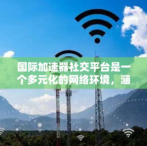 国际加速器社交平台是一个多元化的网络环境，涵盖了从学术交流到项目协作的各个方面。以下是对这些平台的详细分析
