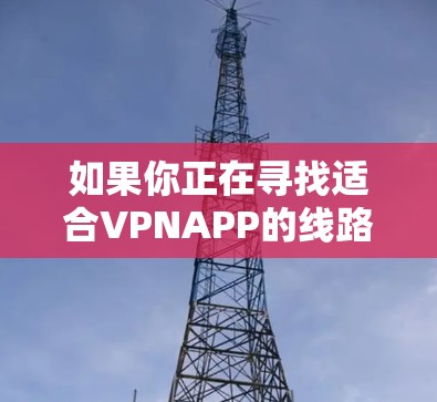 如果你正在寻找适合VPNAPP的线路推荐,以下是一些常见的VPN应用和配置建议,供你参考