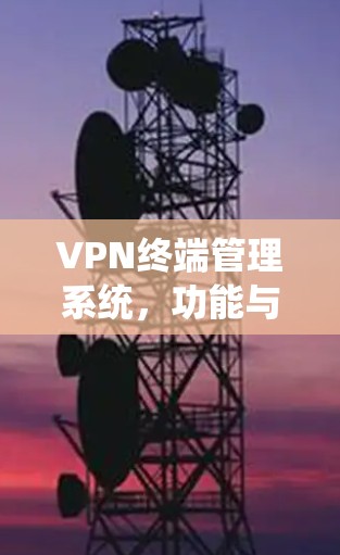 VPN终端管理系统，功能与应用分析