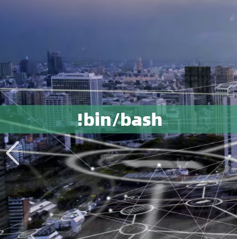 !bin/bash