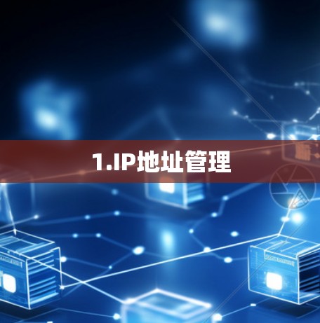 1.IP地址管理