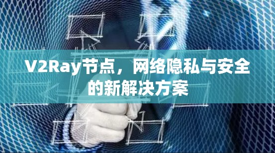 V2Ray节点,网络隐私与安全的新解决方案 V2Ray节点,网络隐私与安全的新解决方案