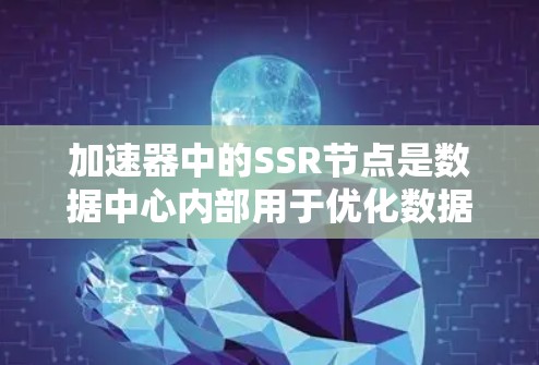 加速器中的SSR节点是数据中心内部用于优化数据传输的关键组件。以下是对SSR节点的详细解析