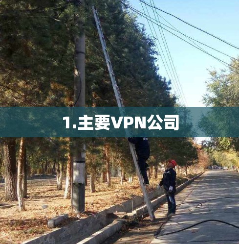 1.主要VPN公司 1.主要VPN公司